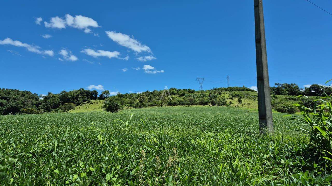 Imóveis Rurais para à venda no Bairro SAO SALVADOR em CASCAVEL: