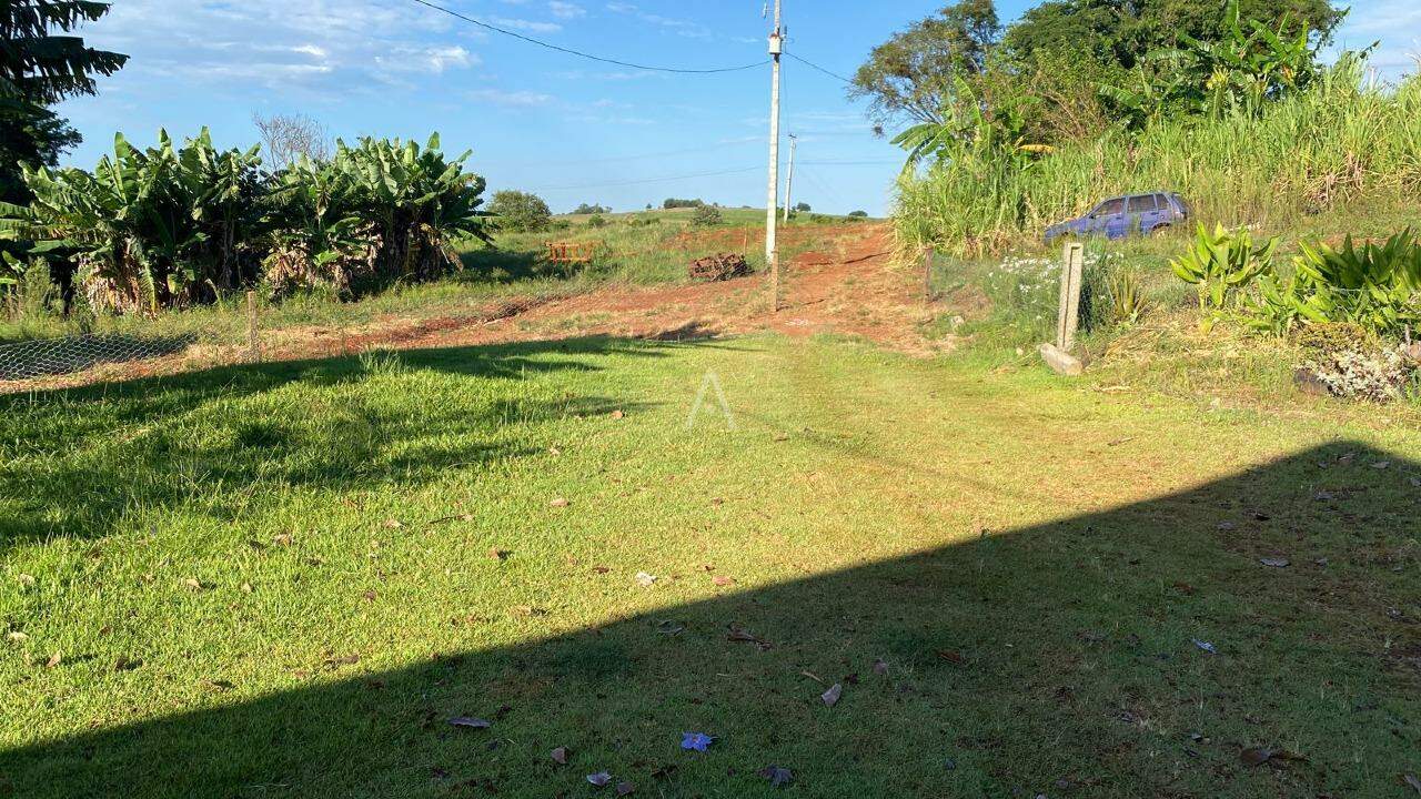 Imóveis Rurais para à venda no Bairro Área Rural de Cascavel em CASCAVEL: 