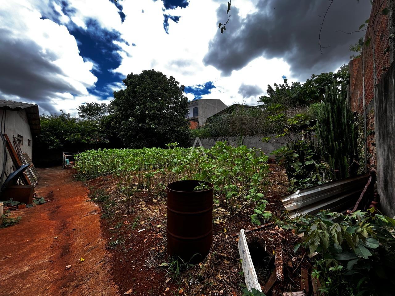 Terreno para à venda no Bairro FLORESTA em CASCAVEL: 
