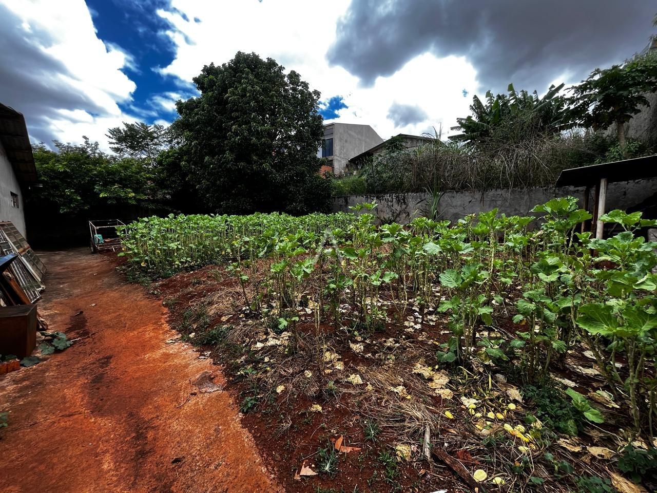 Terreno para à venda no Bairro FLORESTA em CASCAVEL: 