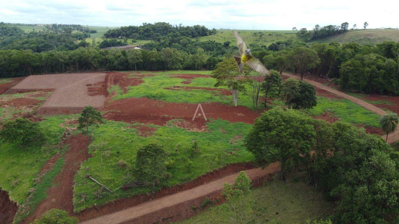 Imóveis Rurais para à venda no Bairro ZONA RURAL em TOLEDO: 
