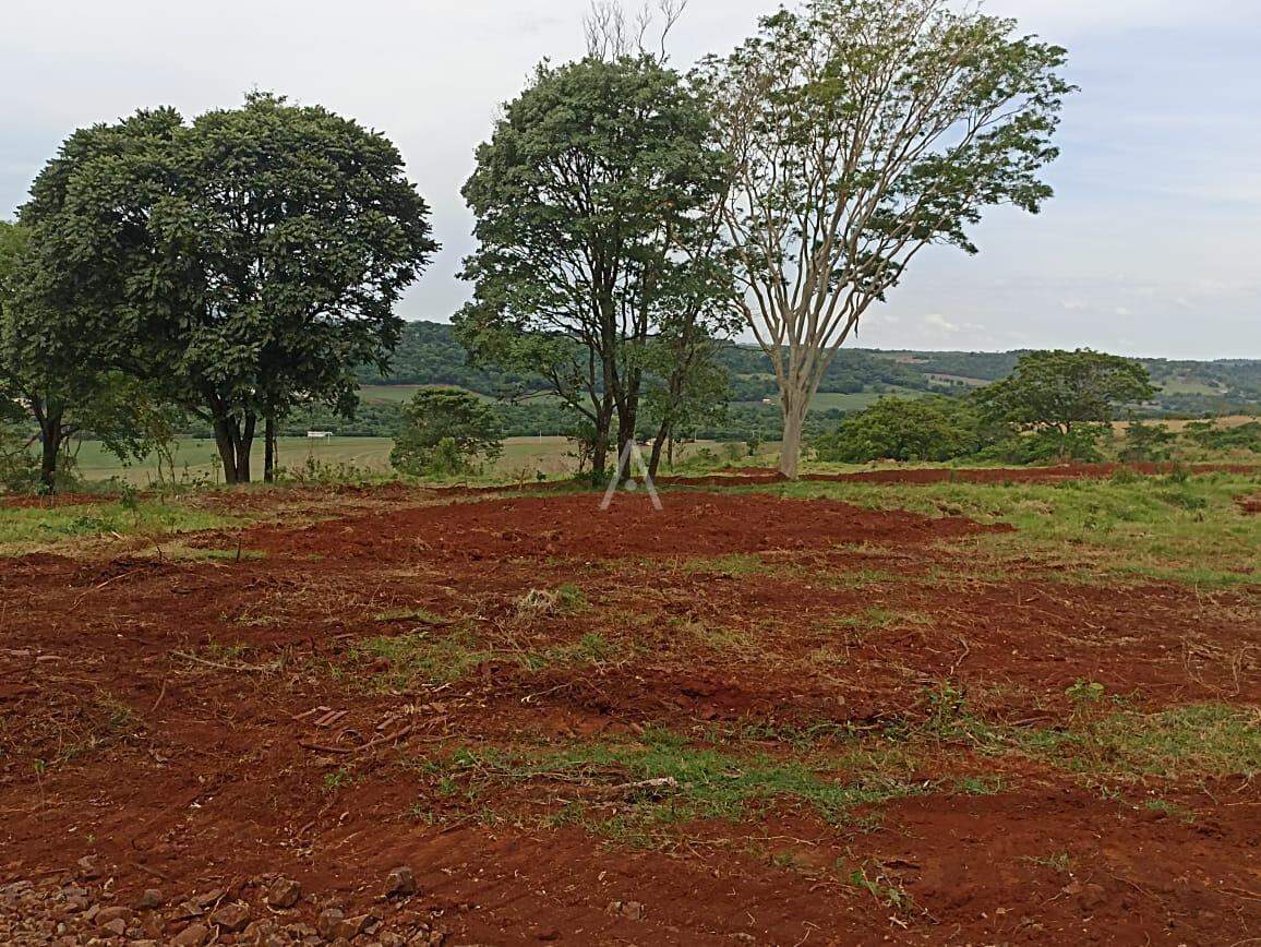 Imóveis Rurais para à venda no Bairro ZONA RURAL em TOLEDO: 
