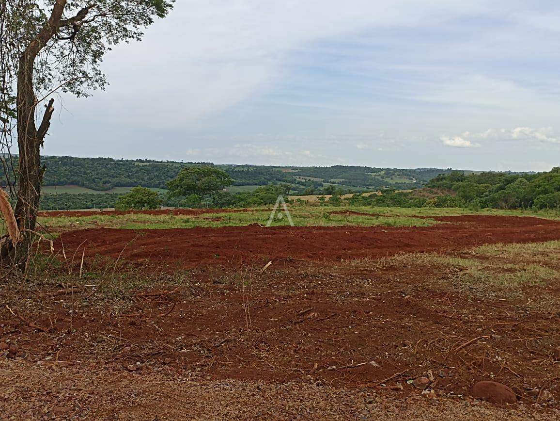 Imóveis Rurais para à venda no Bairro ZONA RURAL em TOLEDO: 