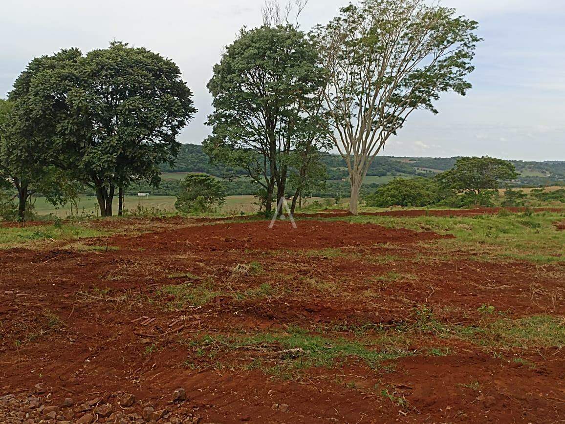 Imóveis Rurais para à venda no Bairro ZONA RURAL em TOLEDO: 