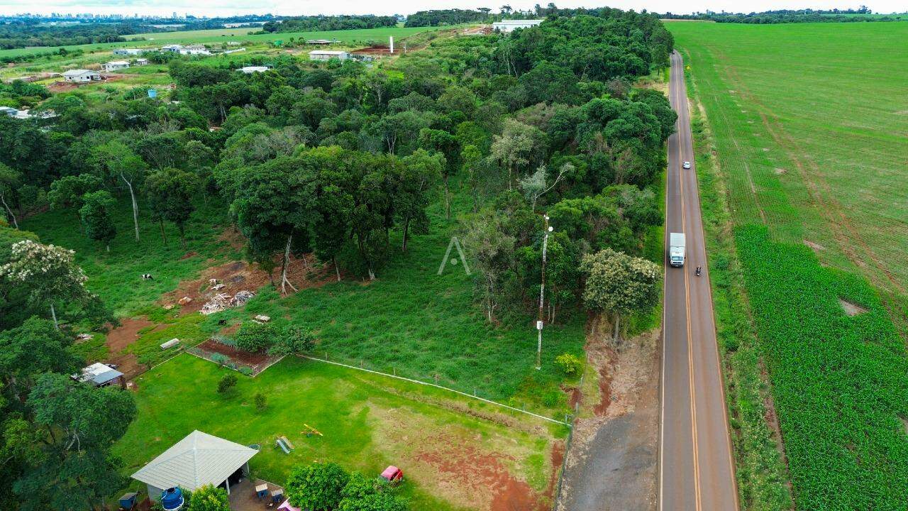 Imóveis Rurais para à venda no Bairro DISTRITO em CASCAVEL: 
