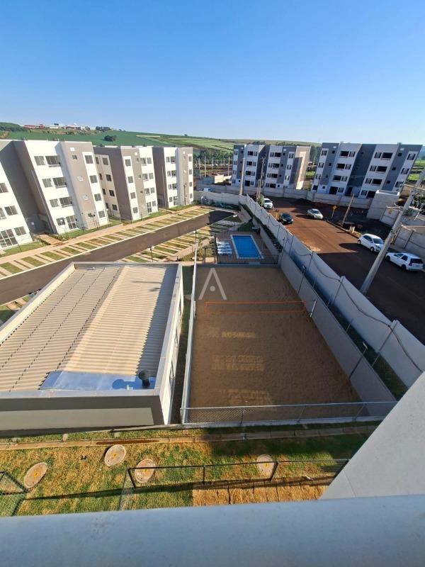 Apartamento para para aluguel no Bairro FLORESTA em CASCAVEL: 