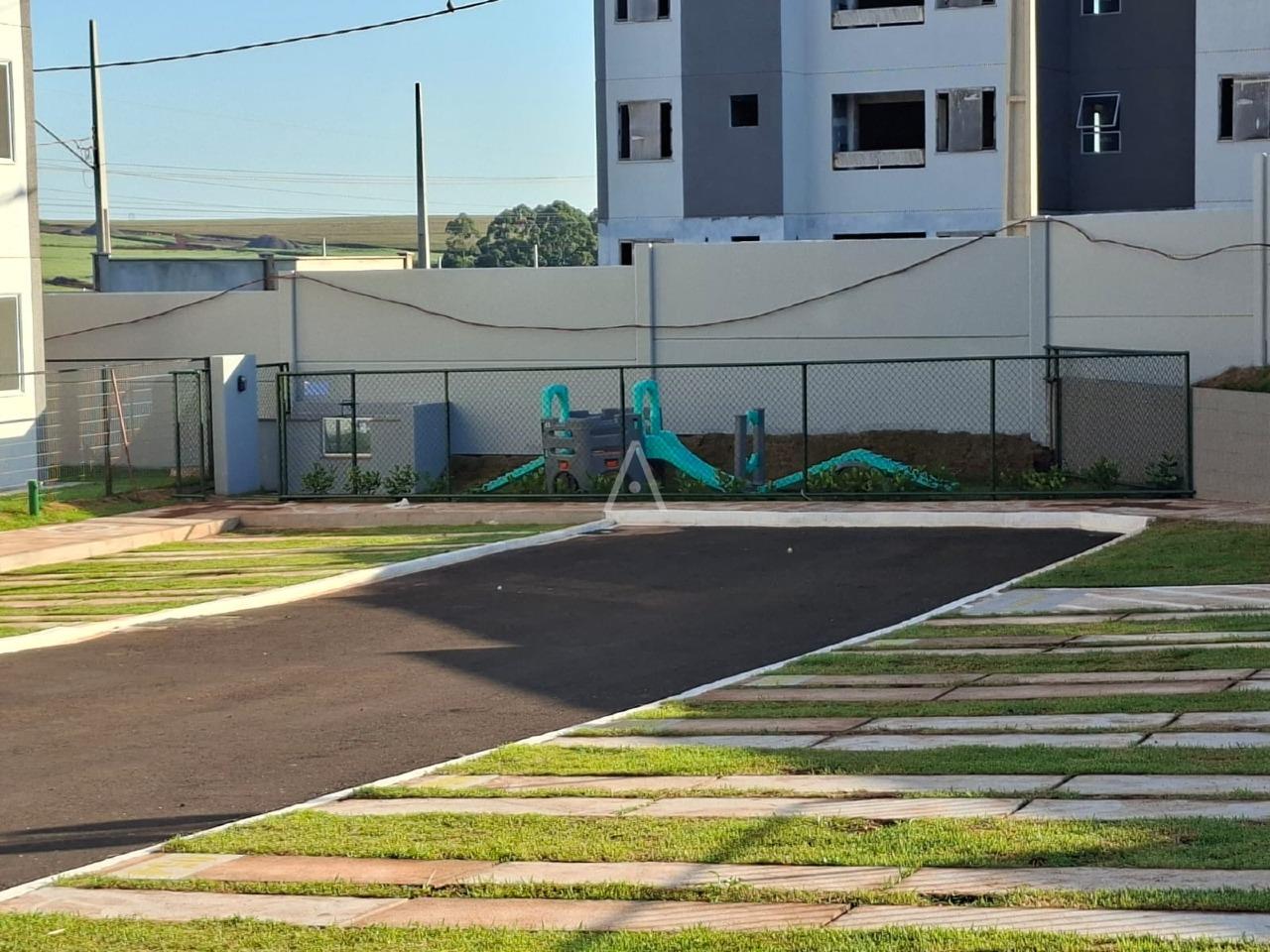 Apartamento para para aluguel no Bairro FLORESTA em CASCAVEL: 