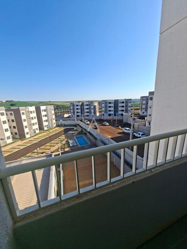 Apartamento para para aluguel no Bairro FLORESTA em CASCAVEL: 