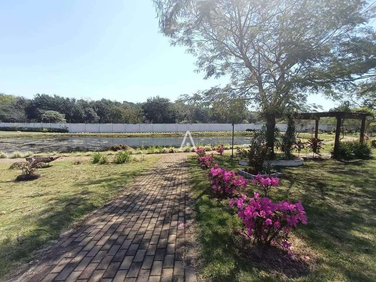 Terreno para à venda no Bairro UNIVERSITARIO em CASCAVEL: 