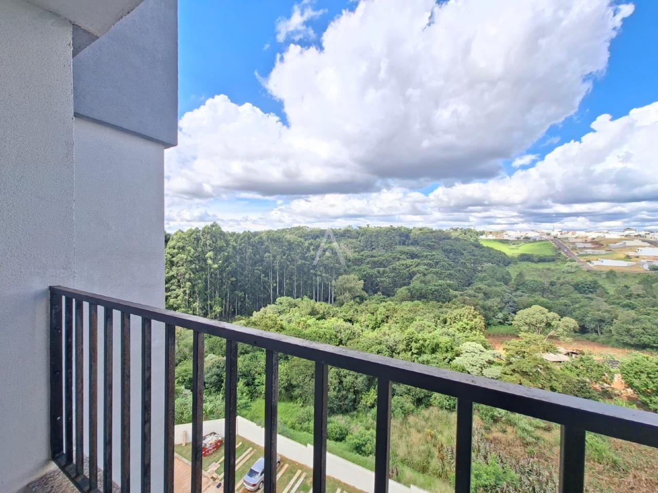 Apartamento para para aluguel no Bairro UNIVERSITARIO em CASCAVEL: 