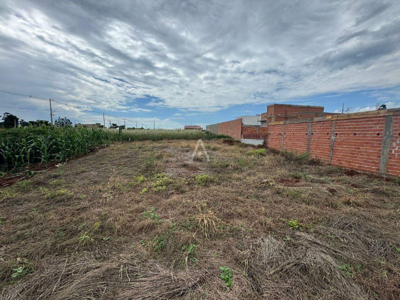 Terreno para à venda no Bairro DISTRITO NOVO SOBRADINHO em TOLEDO: 