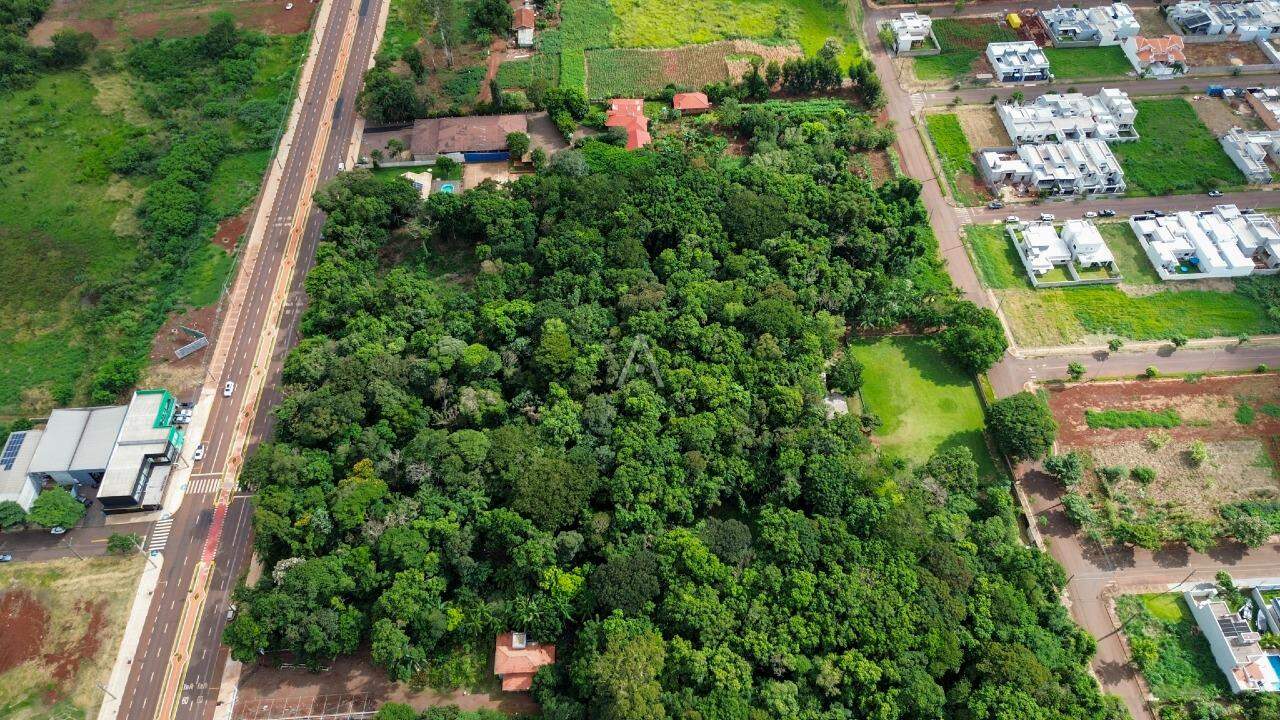 Terreno para à venda no Bairro TOCANTINS em TOLEDO: