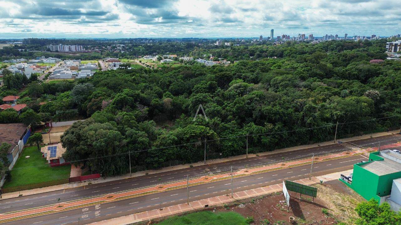 Terreno para à venda no Bairro TOCANTINS em TOLEDO: 