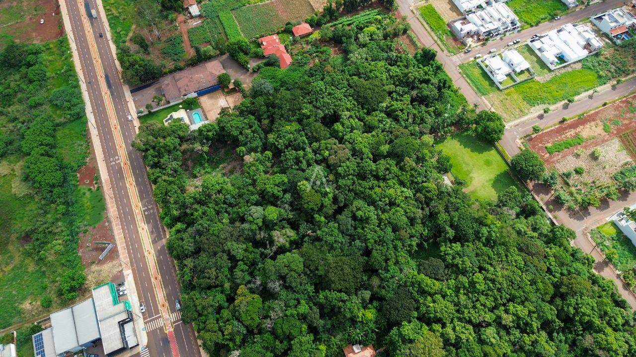 Terreno para à venda no Bairro TOCANTINS em TOLEDO: