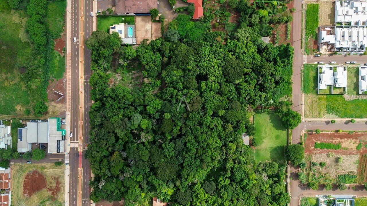 Terreno para à venda no Bairro TOCANTINS em TOLEDO: