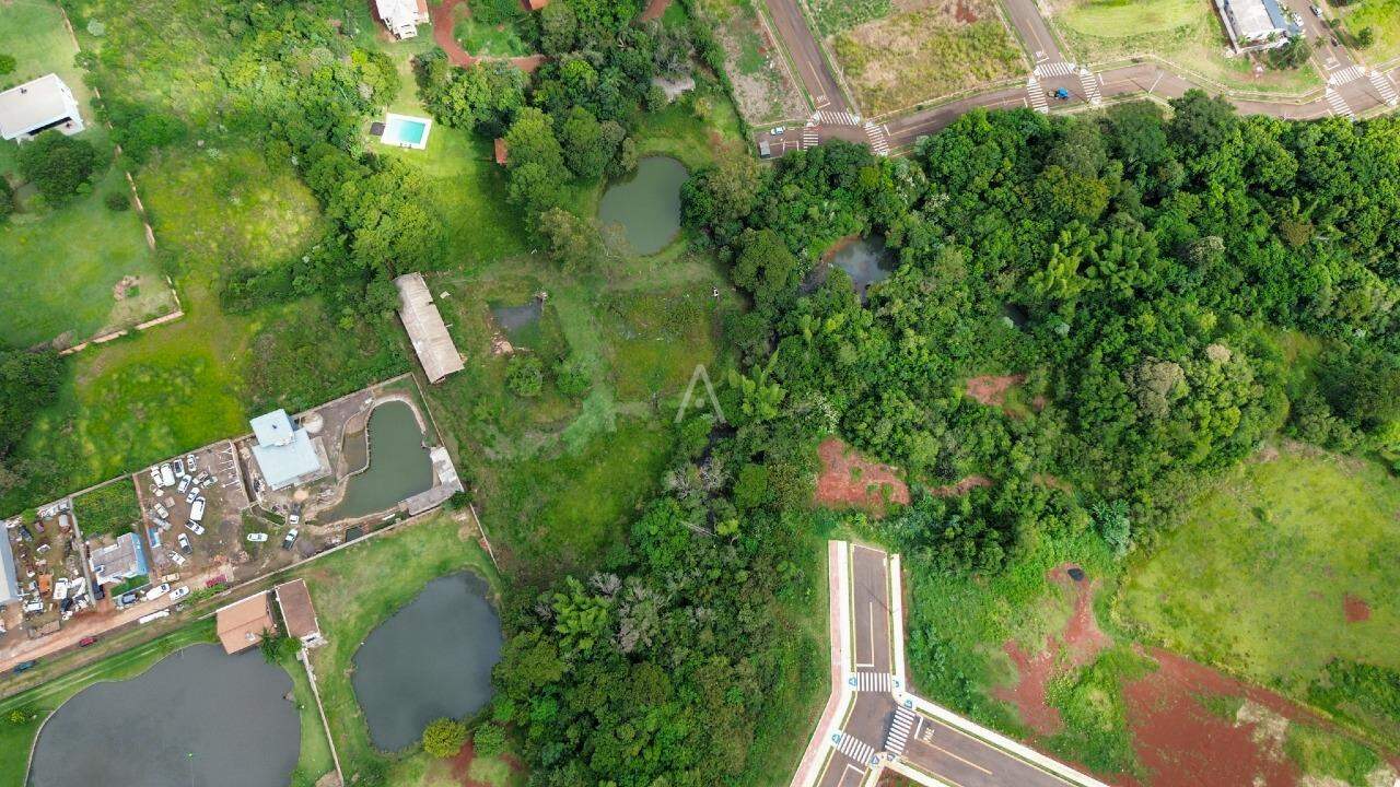 Terreno para à venda no Bairro TOCANTINS em TOLEDO: 