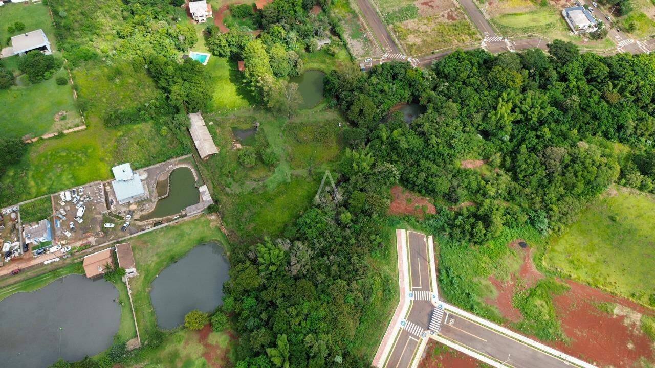 Terreno para à venda no Bairro TOCANTINS em TOLEDO: 