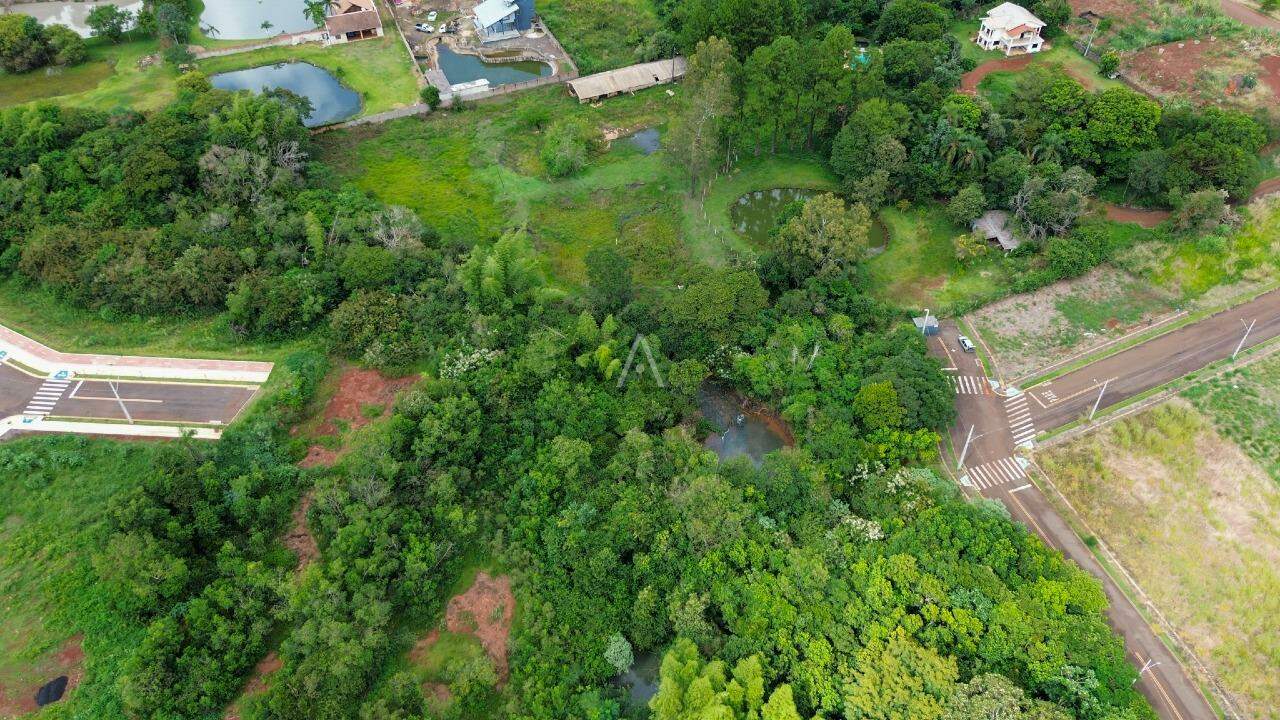 Terreno para à venda no Bairro TOCANTINS em TOLEDO: 