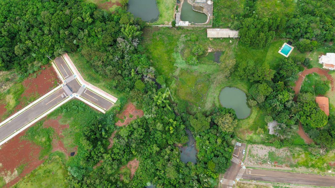 Terreno para à venda no Bairro TOCANTINS em TOLEDO: 