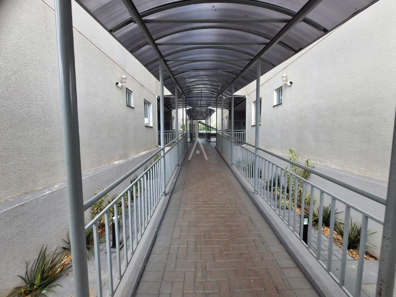 Apartamento para para aluguel no Bairro CANCELLI em CASCAVEL: 