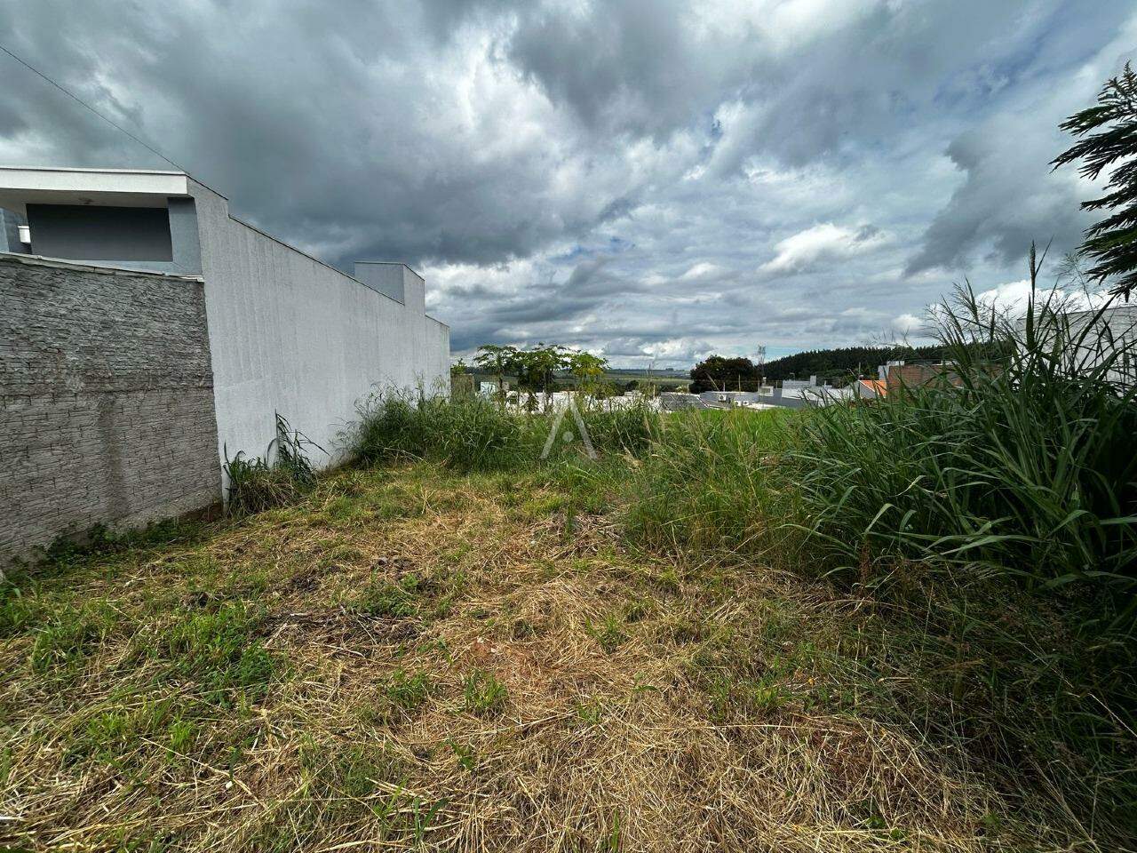 Terreno para à venda no Bairro SAO FRANCISCO em TOLEDO: 
