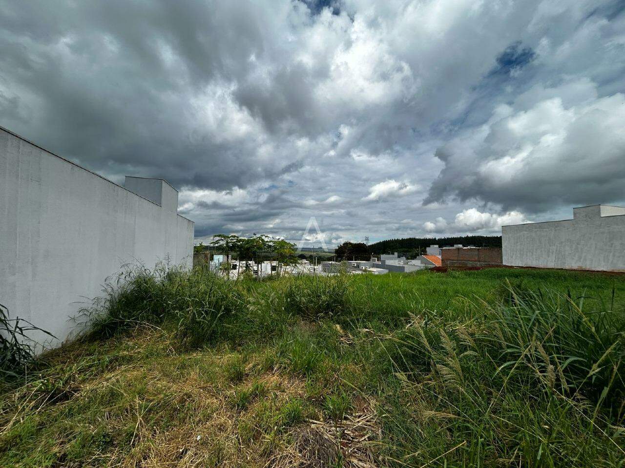 Terreno para à venda no Bairro SAO FRANCISCO em TOLEDO: 