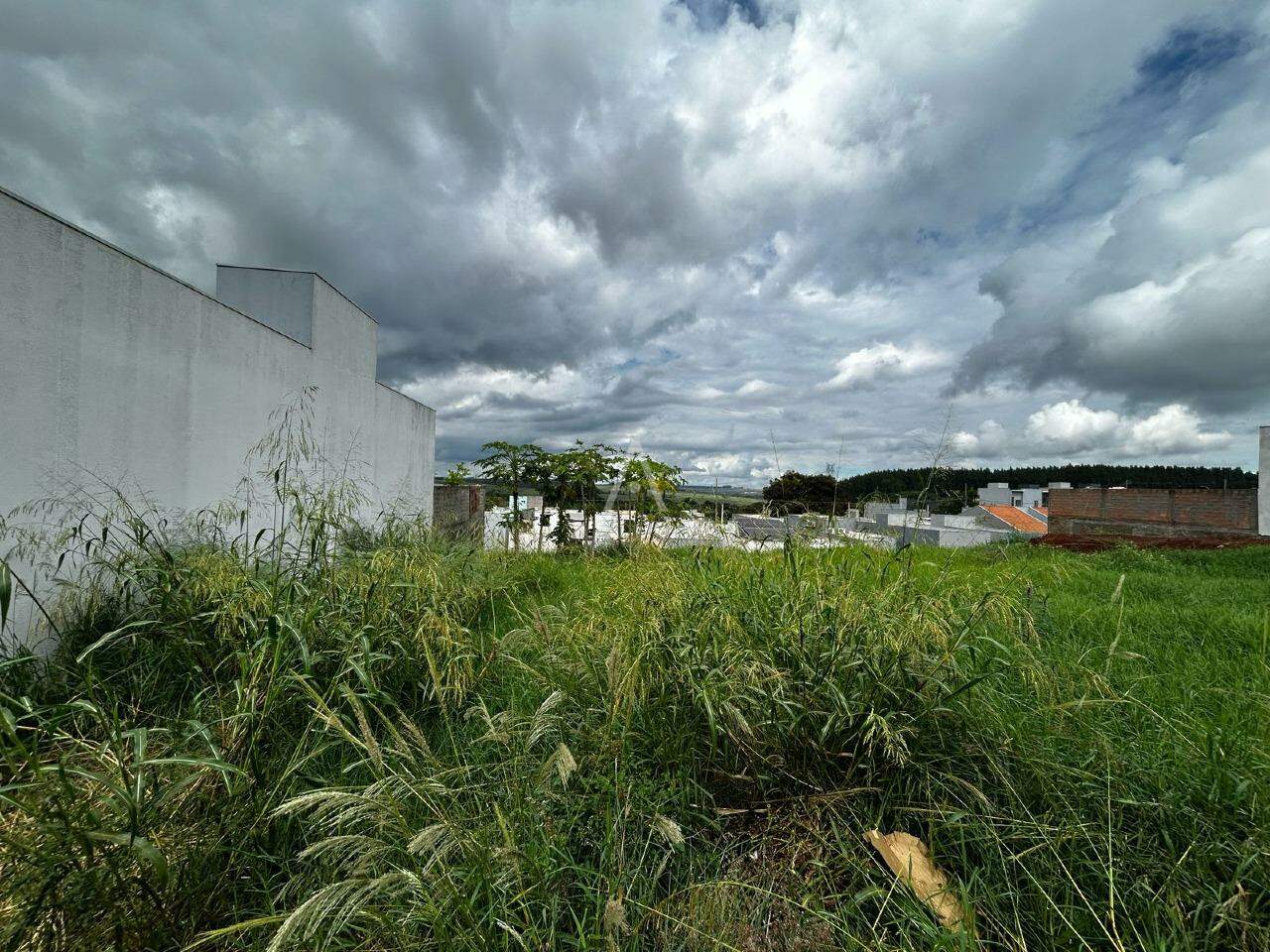 Terreno para à venda no Bairro SAO FRANCISCO em TOLEDO: 