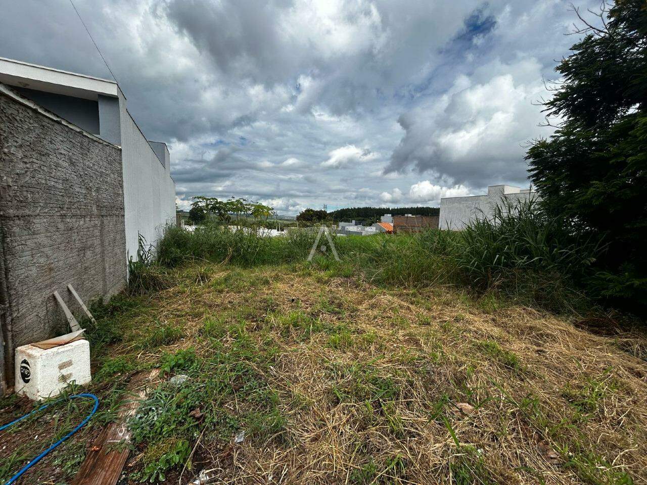 Terreno para à venda no Bairro SAO FRANCISCO em TOLEDO: 