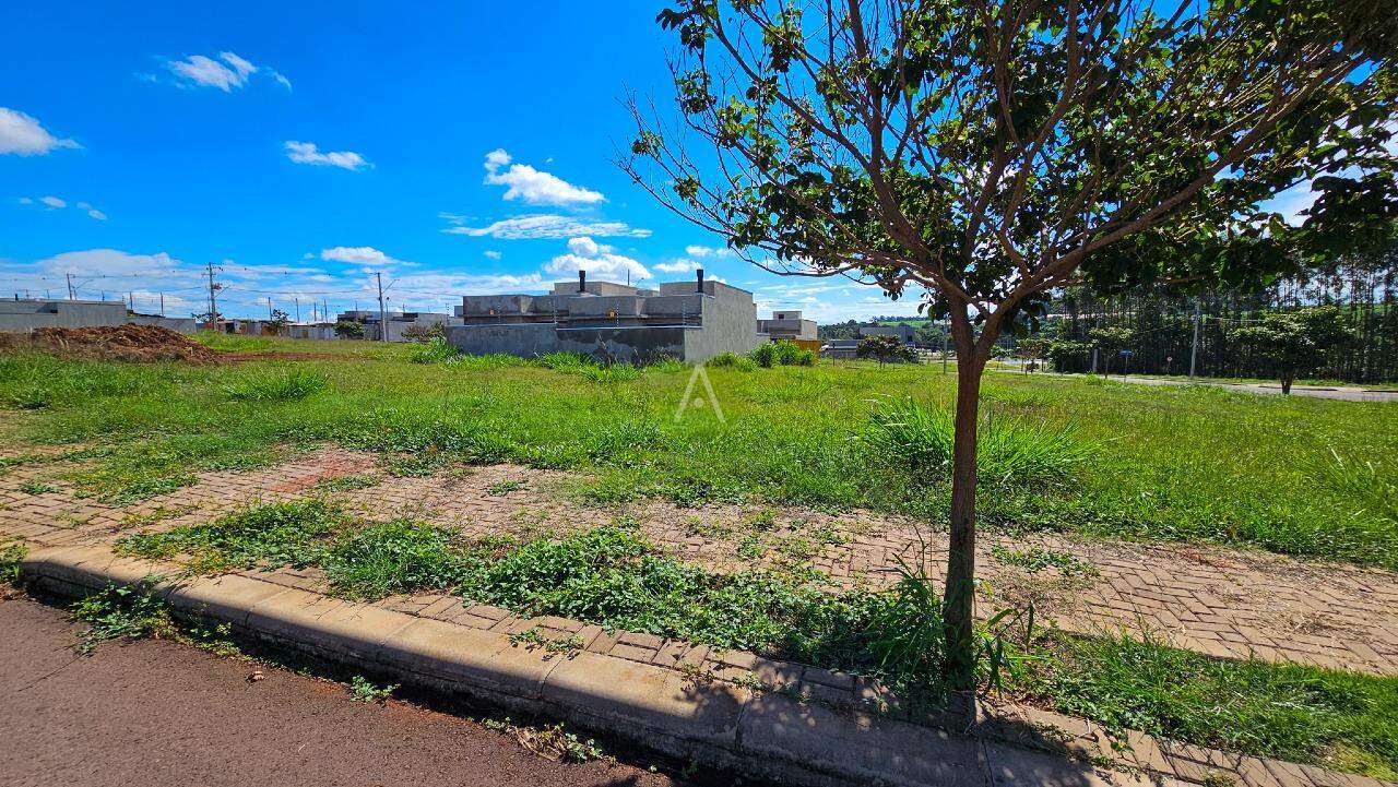 Terreno para à venda no Bairro RECANTO TROPICAL em CASCAVEL: 