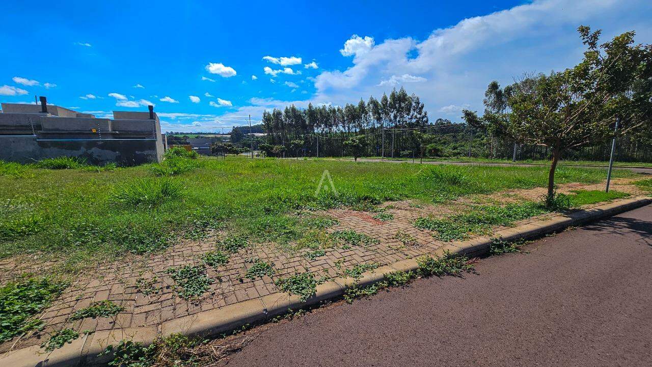 Terreno para à venda no Bairro RECANTO TROPICAL em CASCAVEL: 