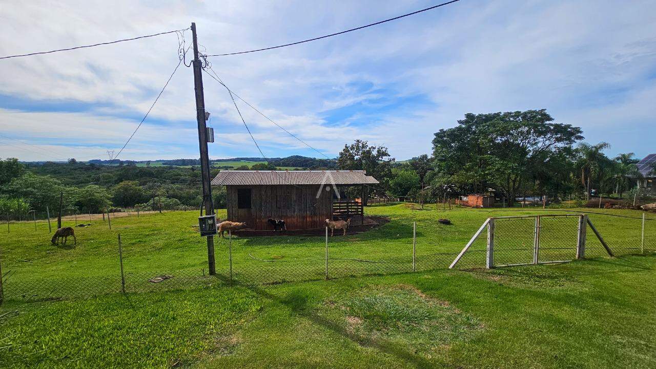 Imóveis Rurais para à venda no Bairro LINHA PEROBA em CASCAVEL: 