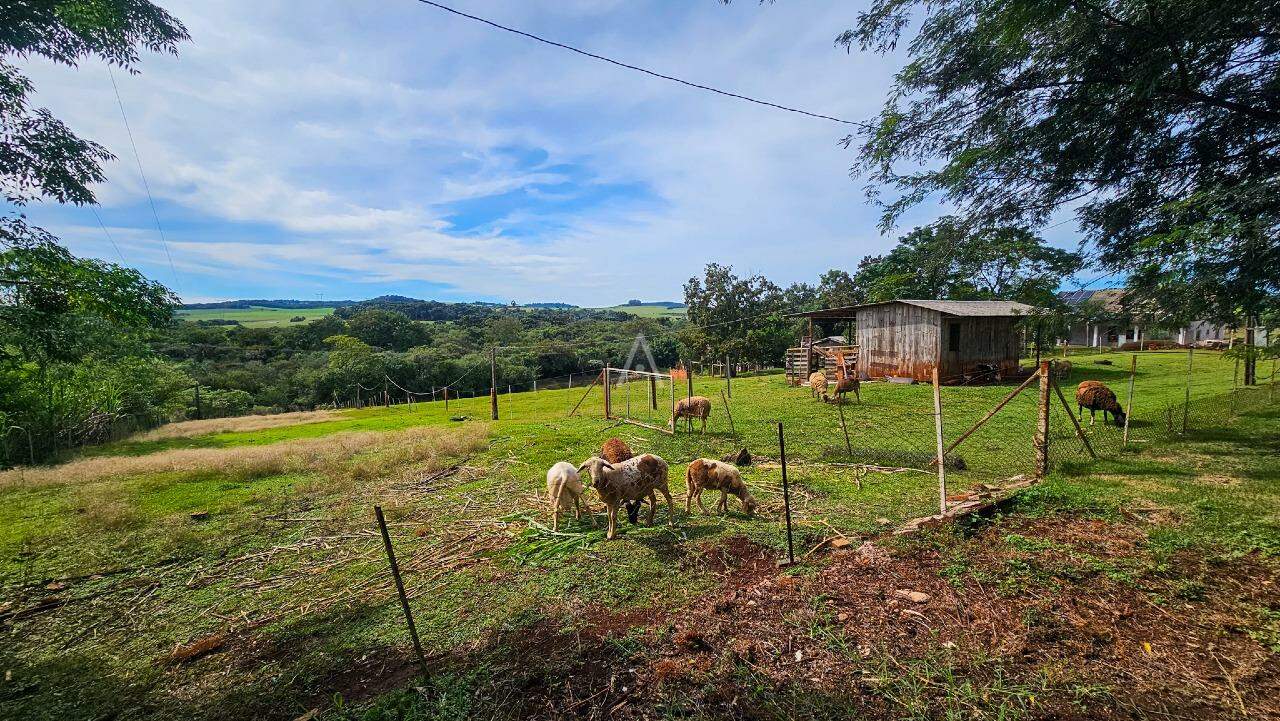 Imóveis Rurais para à venda no Bairro LINHA PEROBA em CASCAVEL: 