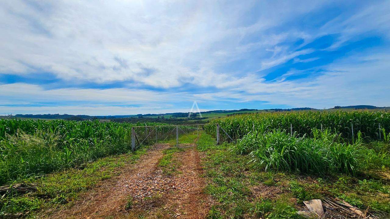 Imóveis Rurais para à venda no Bairro LINHA PEROBA em CASCAVEL: 