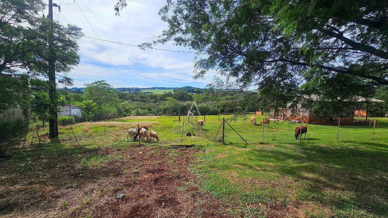 Imóveis Rurais para à venda no Bairro LINHA PEROBA em CASCAVEL: 