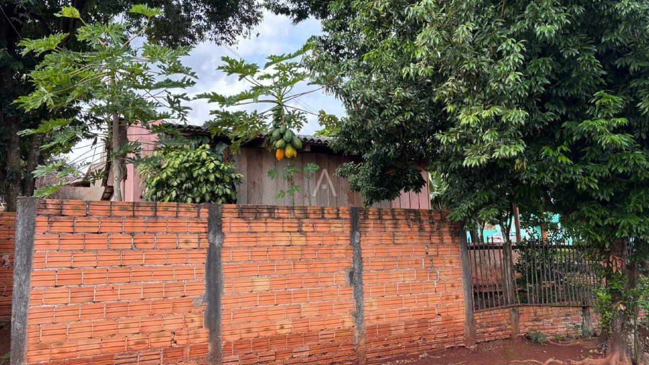 Terreno para à venda no Bairro JARDIM CONCORDIA em TOLEDO: 