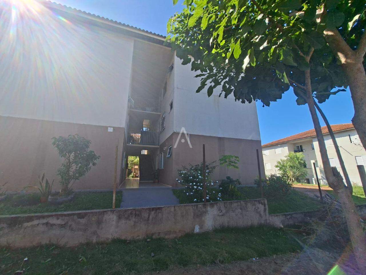 Apartamento para para aluguel no Bairro FLORESTA em CASCAVEL: 
