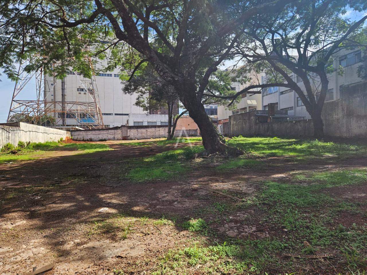 Terreno para à venda no Bairro CENTRO em CASCAVEL: