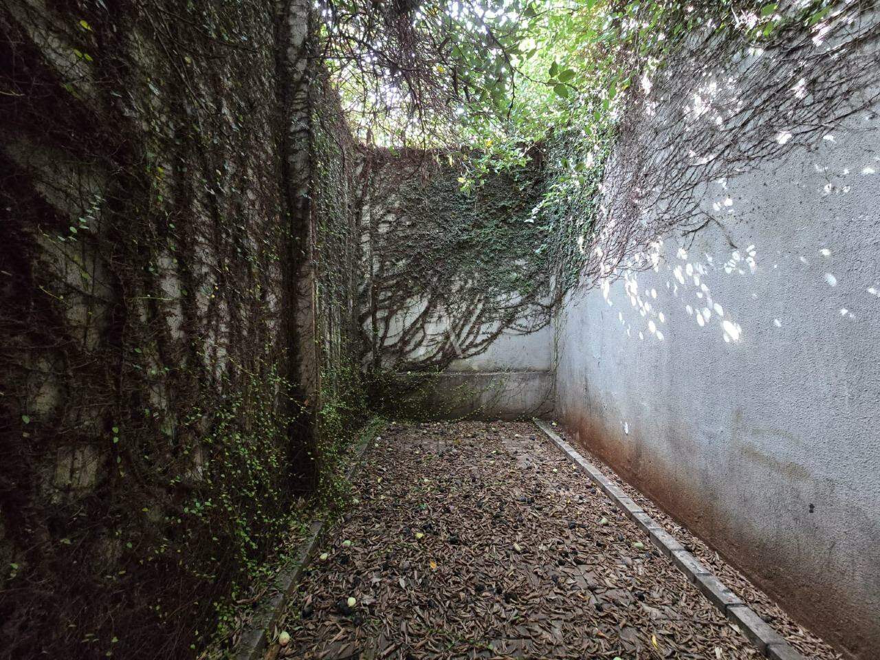 Sala Comercial para para aluguel no Bairro CENTRO em TOLEDO: SUBSOLO