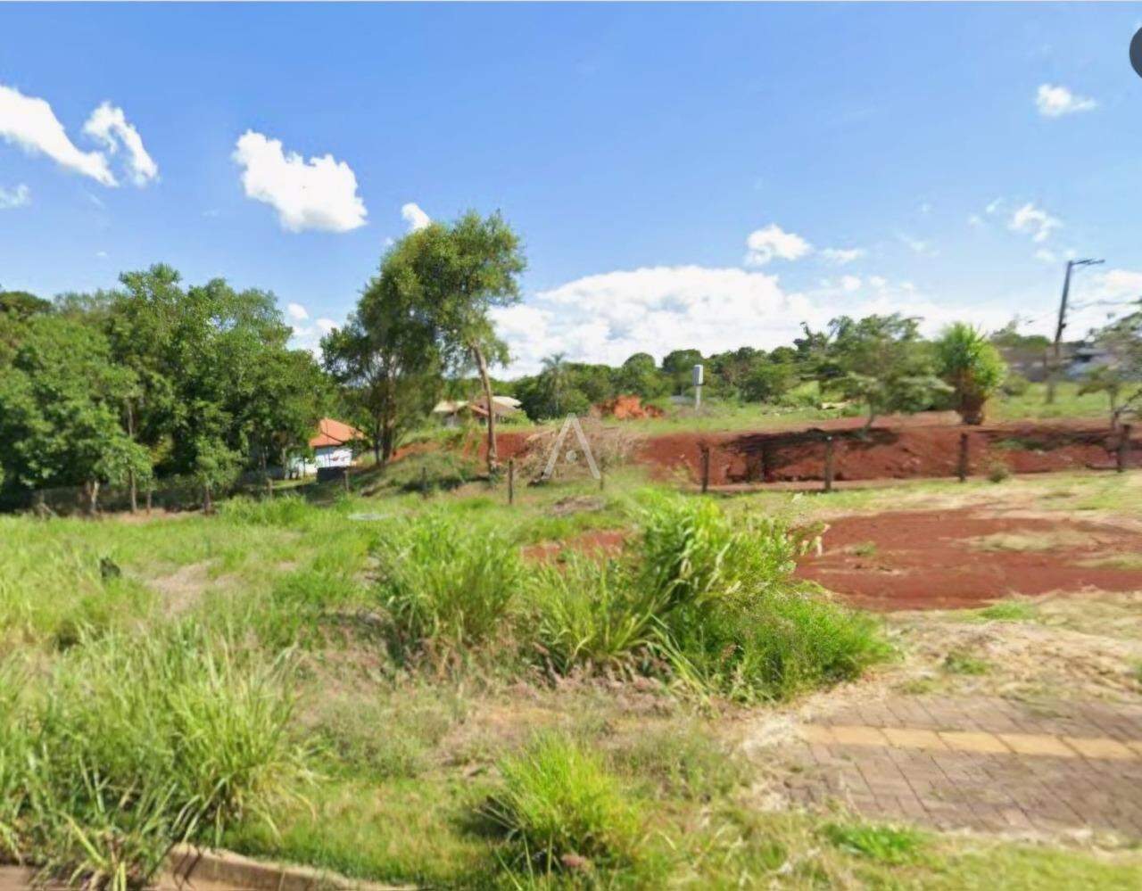 Terreno para à venda no Bairro TOCANTINS em TOLEDO: 