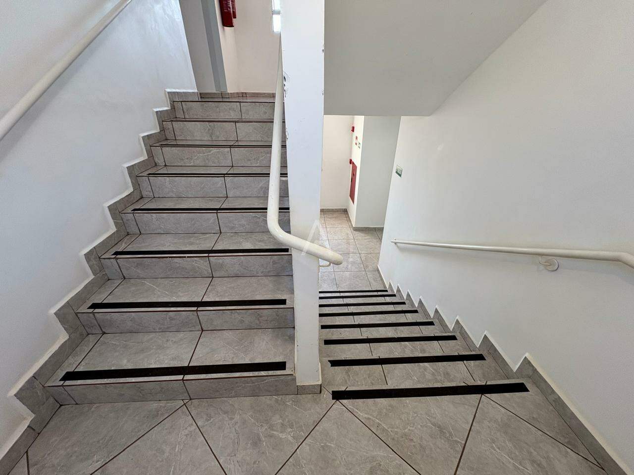 Apartamento para para aluguel no Bairro FLORESTA em CASCAVEL: