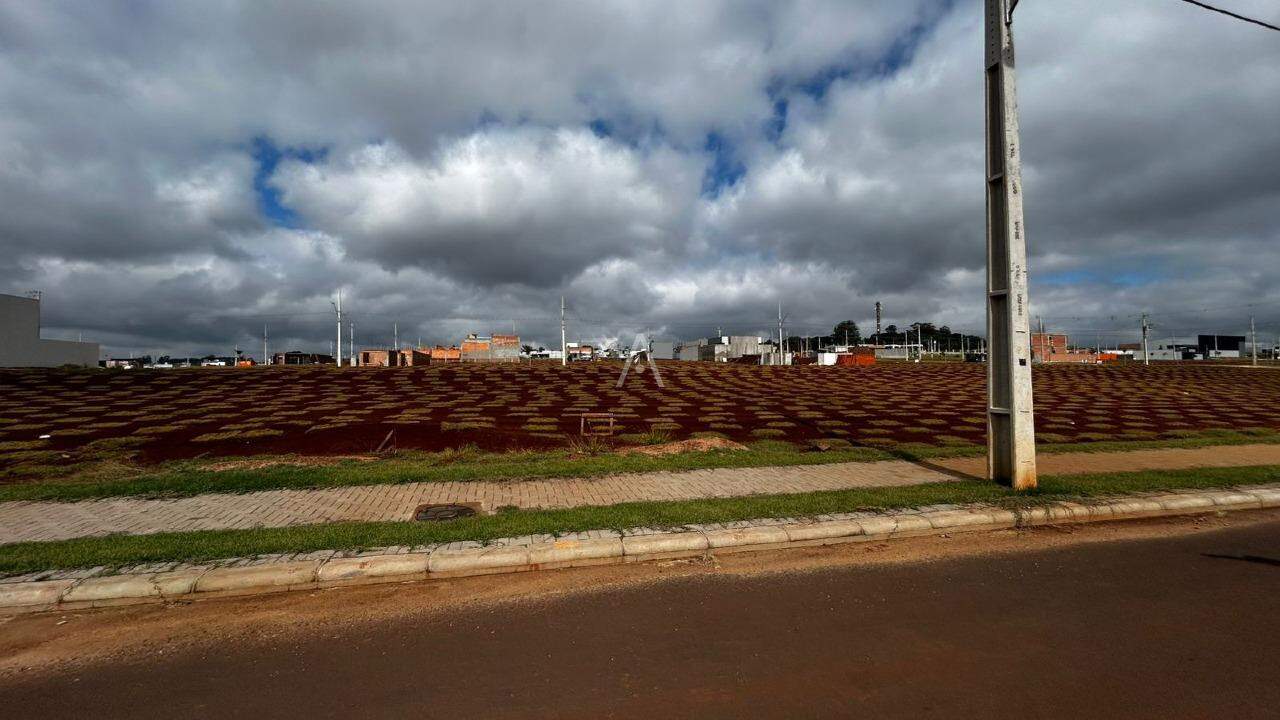 Terreno para à venda no Bairro Brazmadeira em CASCAVEL: 