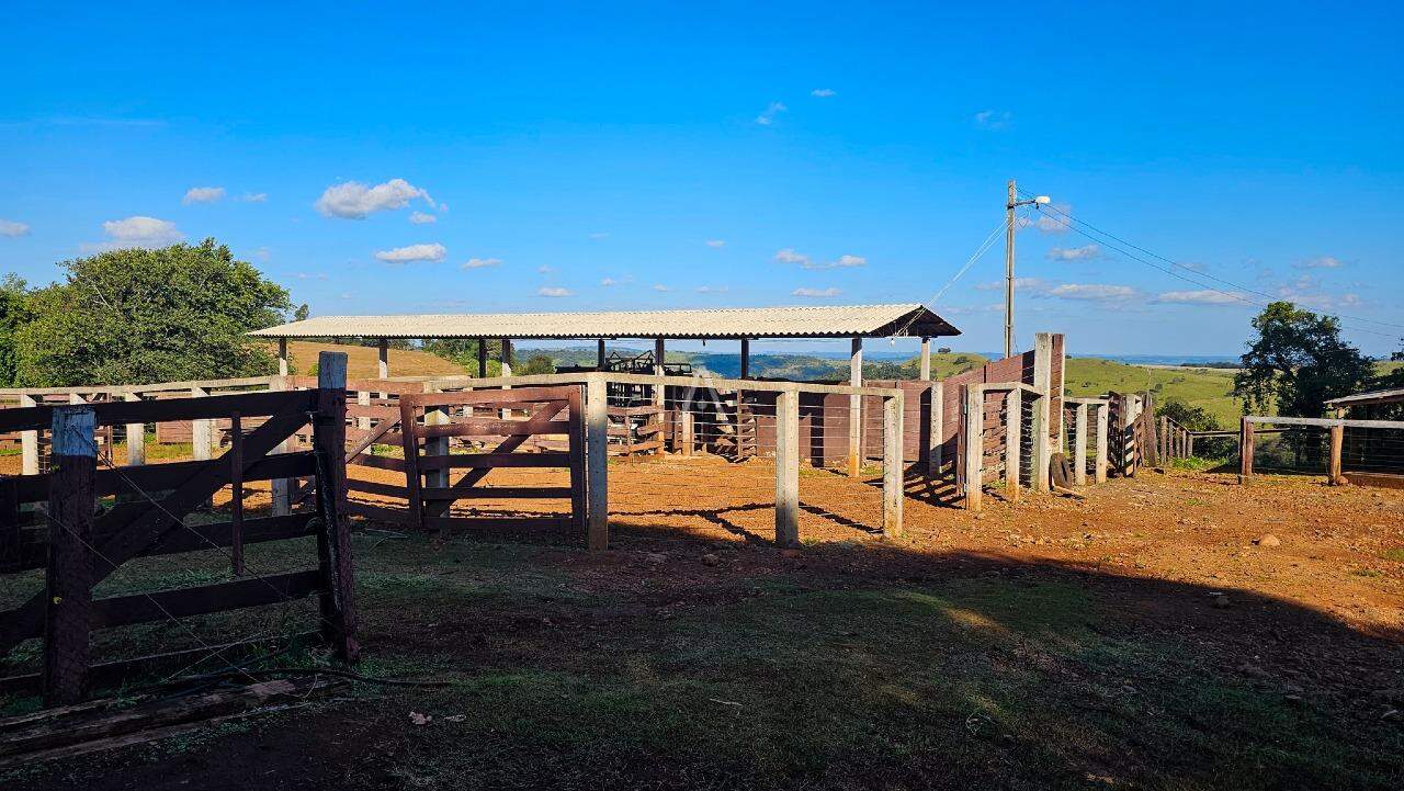 Imóveis Rurais para à venda no Bairro AREA RURAL em IBEMA: 