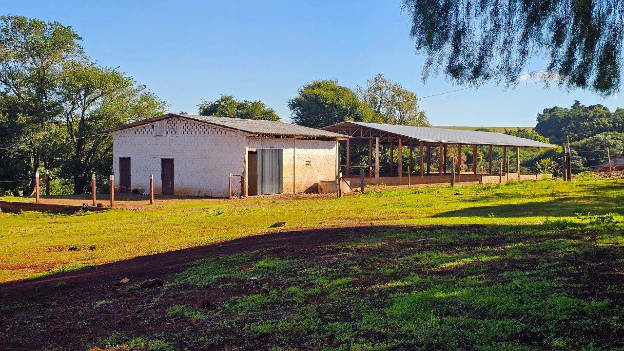 Imóveis Rurais para à venda no Bairro AREA RURAL em IBEMA: 