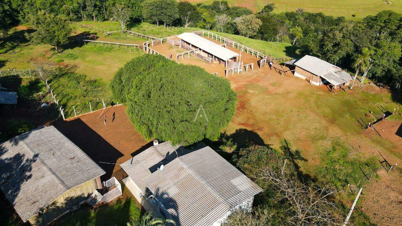 Imóveis Rurais para à venda no Bairro AREA RURAL em IBEMA: 