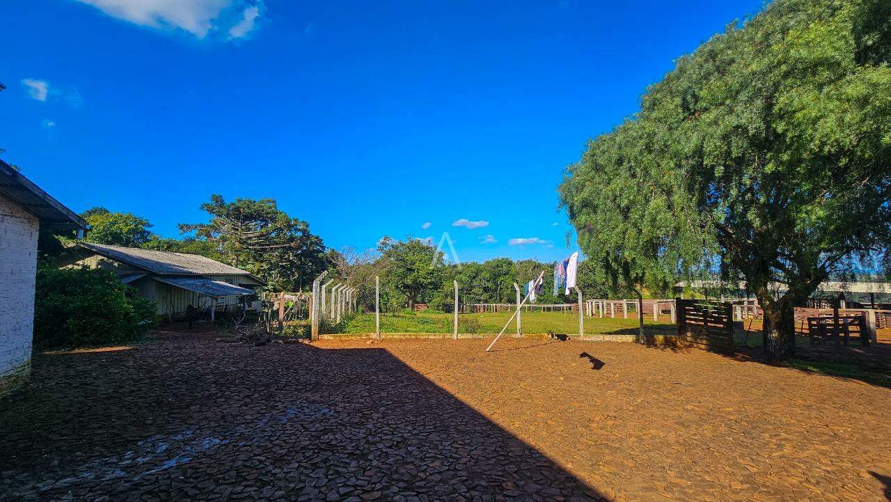 Imóveis Rurais para à venda no Bairro AREA RURAL em IBEMA: 
