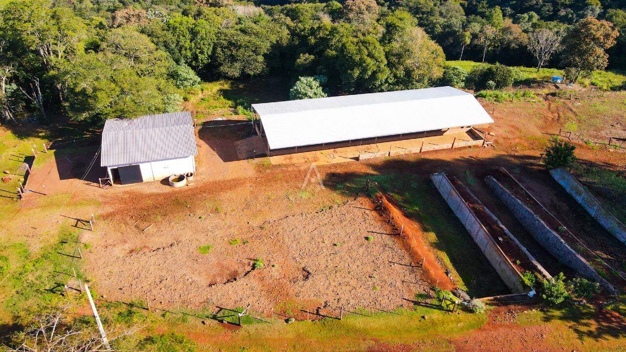 Imóveis Rurais para à venda no Bairro AREA RURAL em IBEMA: 