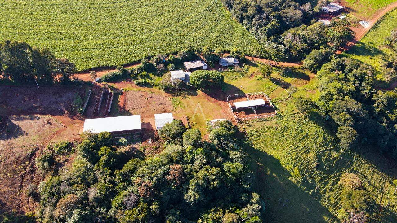 Imóveis Rurais para à venda no Bairro AREA RURAL em IBEMA: 