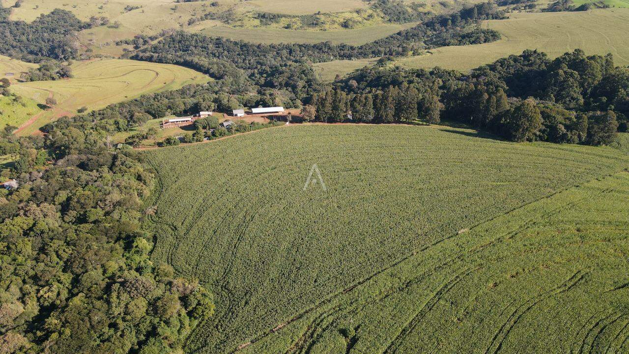 Imóveis Rurais para à venda no Bairro AREA RURAL em IBEMA: 