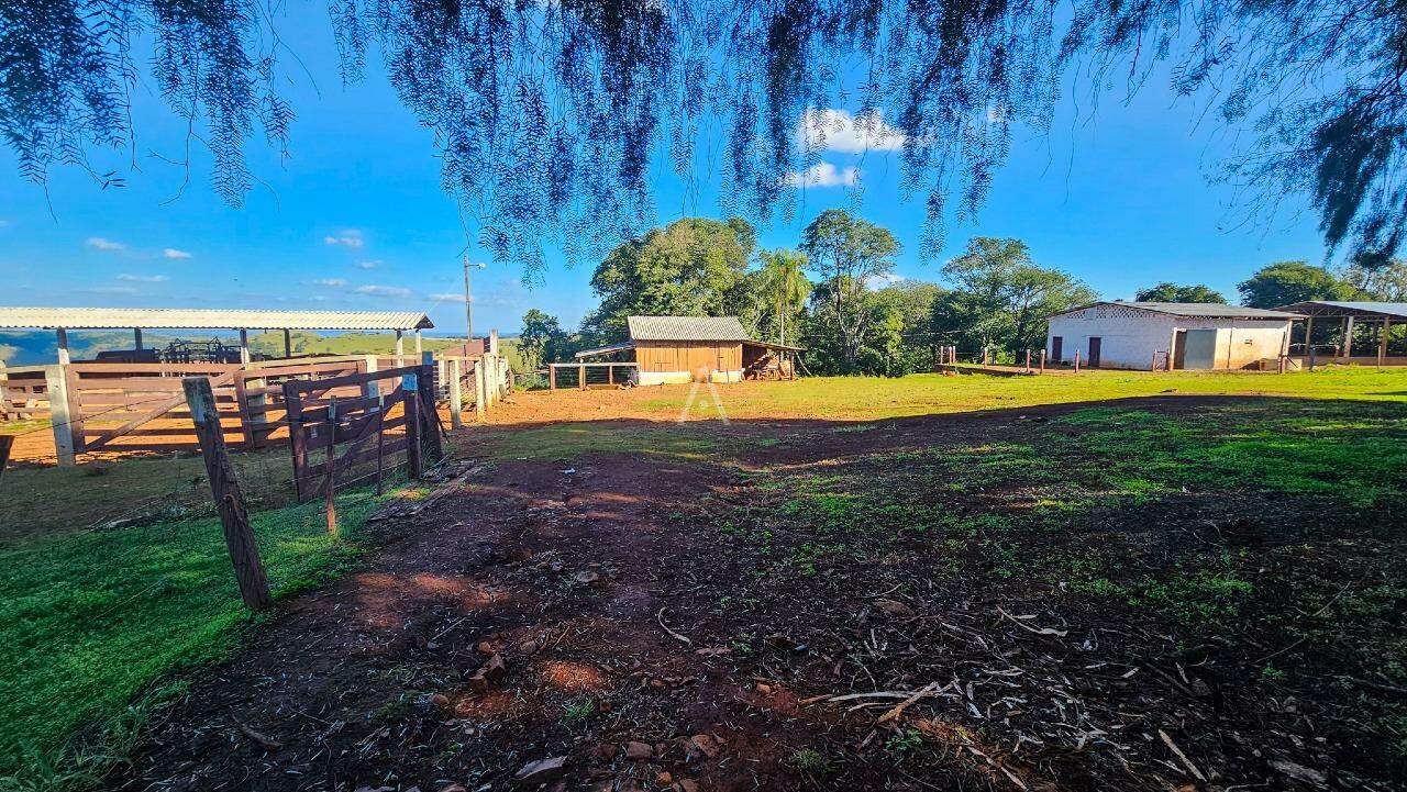 Imóveis Rurais para à venda no Bairro AREA RURAL em IBEMA: 
