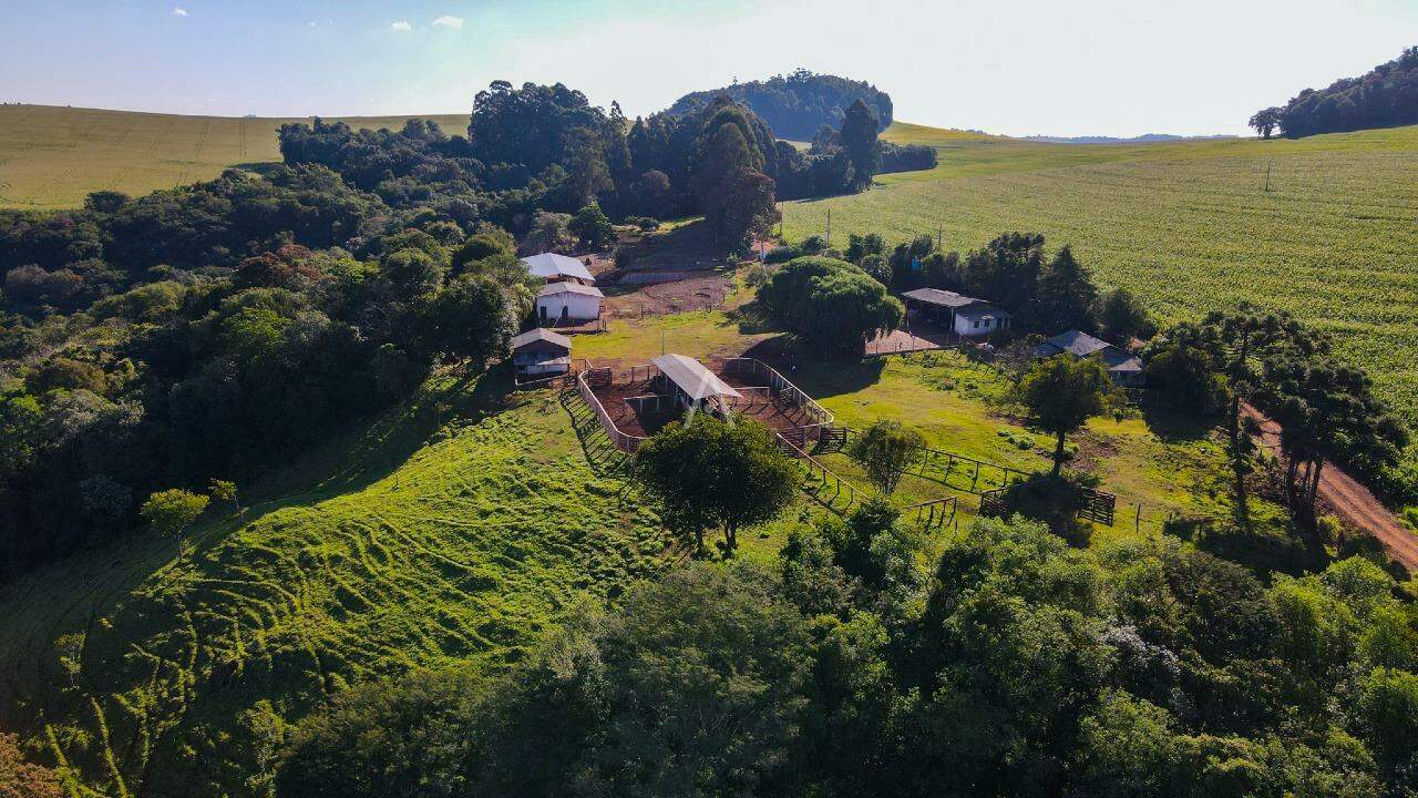 Imóveis Rurais para à venda no Bairro AREA RURAL em IBEMA: 